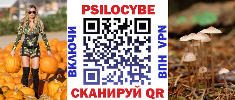 мега   Новая Ладога  Псилоцибиновые грибы мухоморы  магазин продажи  