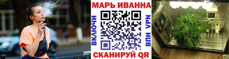 купить  цена  Новая Ладога  Бошки марихуана марихуана 
